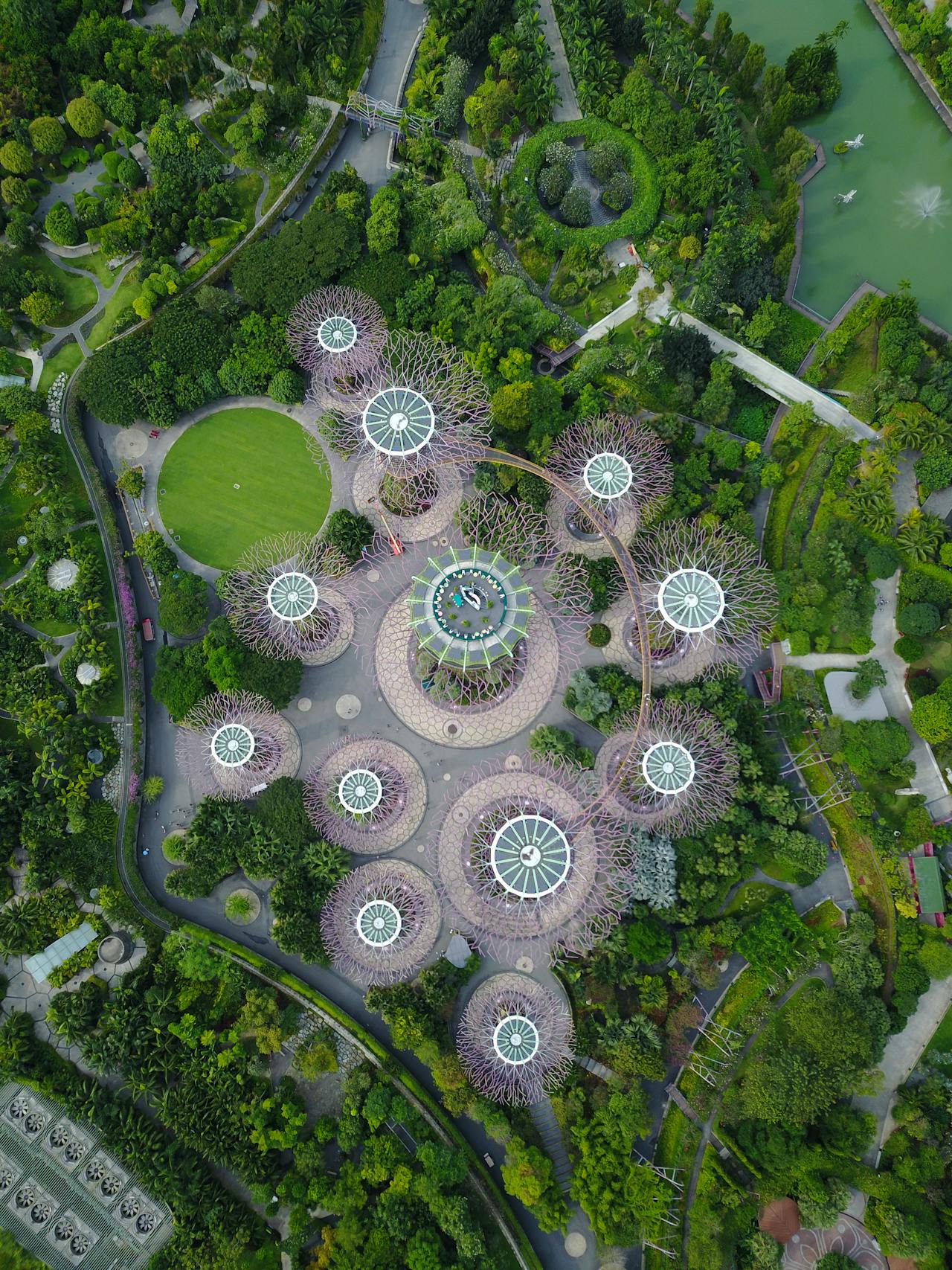 Beautiful landscape garden design by Drawingonline